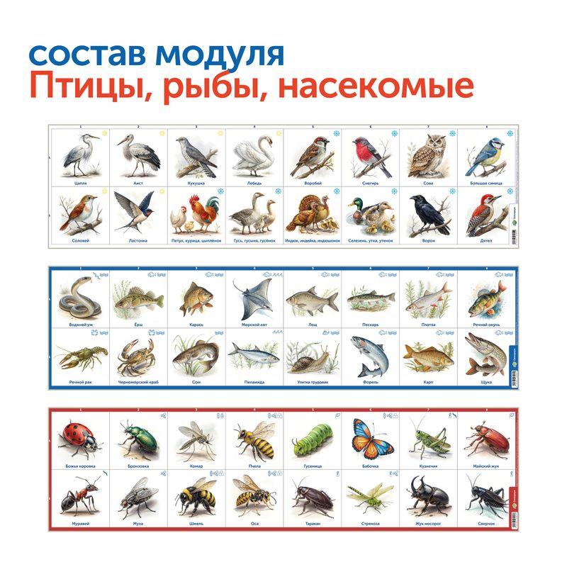 Природные богатства России с РобоМышью (без системы хранения)