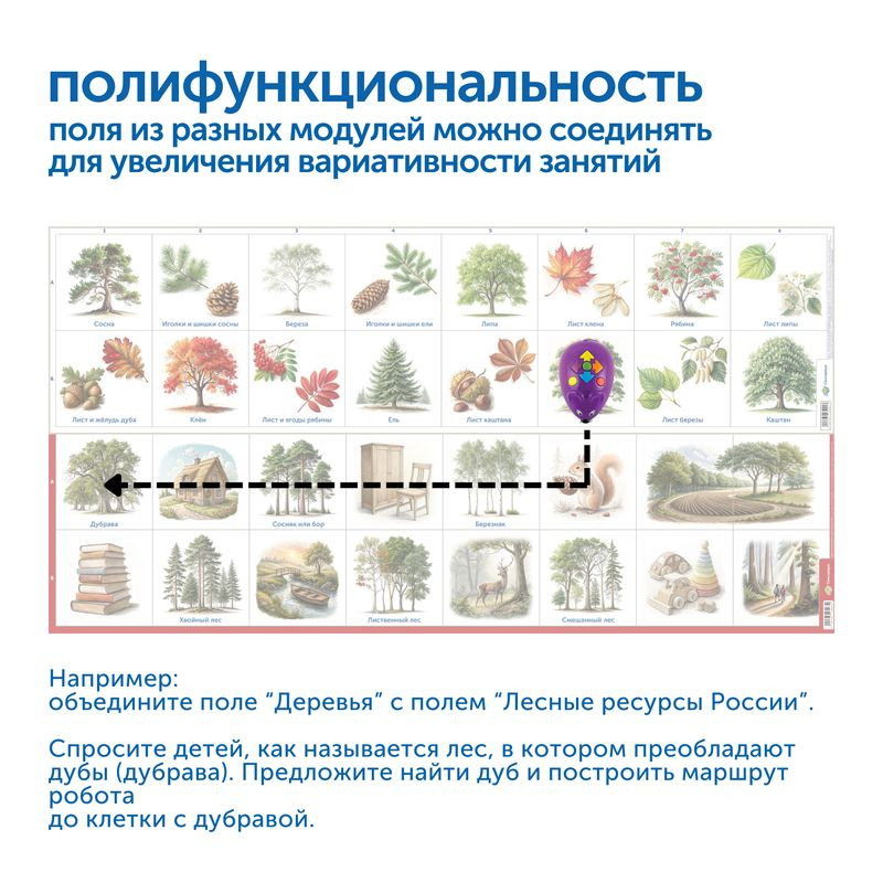 Природные богатства России с РобоМышью (без системы хранения)