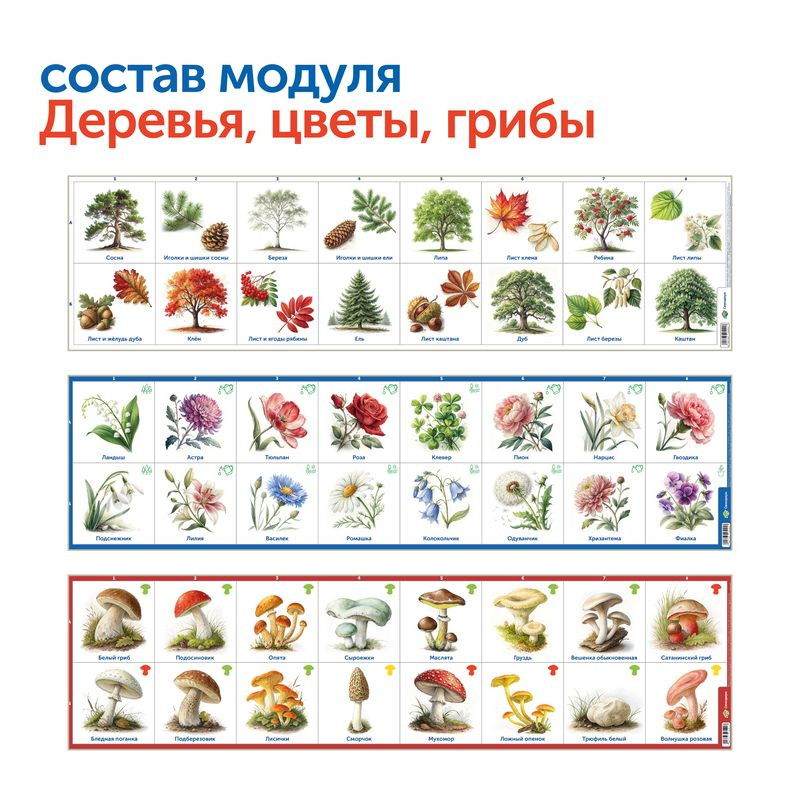 Природные богатства России с РобоМышью (без системы хранения)