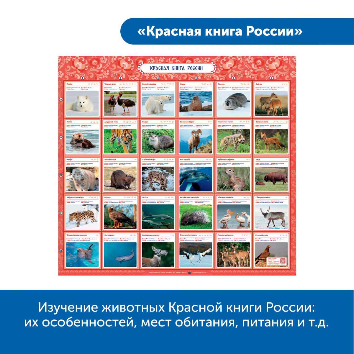 MS0084 Комплект "Патриотическое воспитание с РобоМышью"
