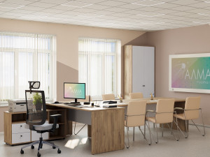 Кабинет руководителя в образовательное учреждение 27 м²