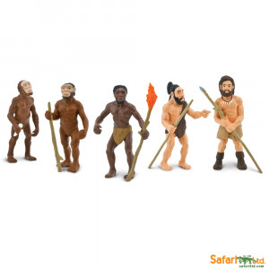 Обучащий набор фигурок Safari Ltd Эволюция человека