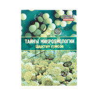 Развивающий набор “Тайны микробиологии. Царство грибов”