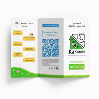 IQ Kubiki. Набор серии "Умники и Умницы" (250 деталей)