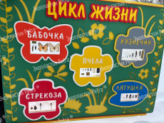 Модуль «Цикл жизни» из экопластика Petra ® и нержавеющей стали
