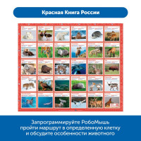 RM5001 Комплект тематических полей "Чудеса России с РобоМышью" (5 элементов)