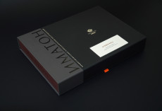 Кубики Коса. Измерение уровня невербального интеллекта