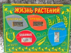 Модуль «Жизнь растений» из экопластика Petra ® и нержавеющей стали