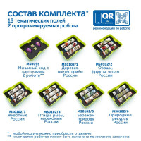 Природные богатства России с РобоМышью (без системы хранения)