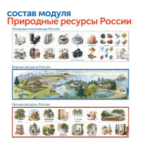 Природные богатства России с РобоМышью (без системы хранения)