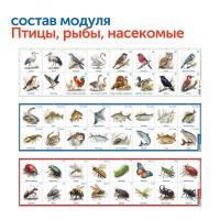 Природные богатства России с РобоМышью (без системы хранения)