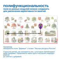 Природные богатства России с РобоМышью (без системы хранения)