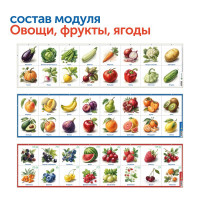 Природные богатства России с РобоМышью (без системы хранения)