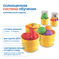 MS55531 Модуль "Наше сельское хозяйство. Сажаем огород"