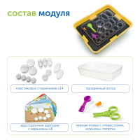 MS953761 Модуль "Игры с водой и песком. ОВЗ"
