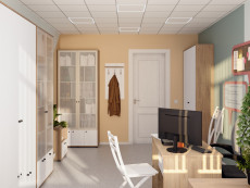 Кабинет административно-хозяйственного отдела 15 м²